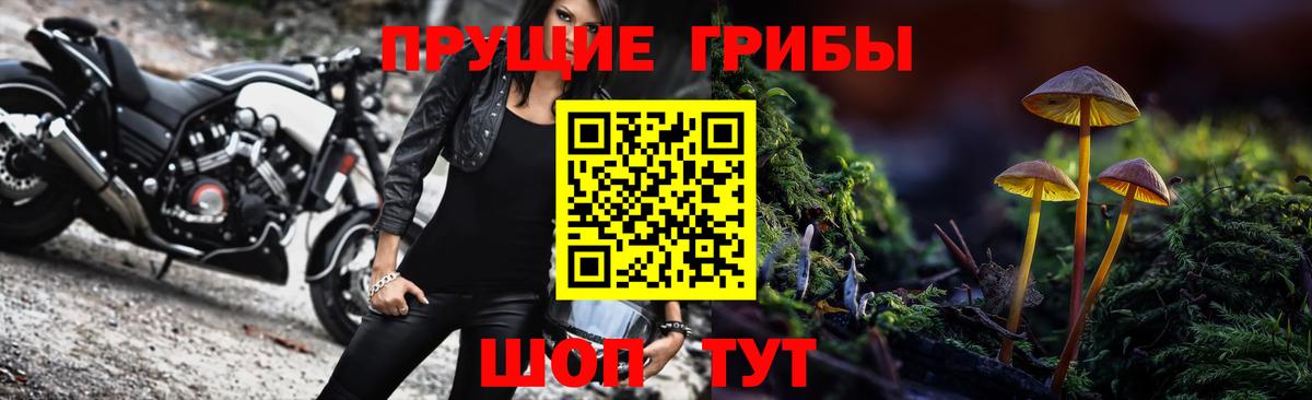 Псилоцибиновые грибы GOLDEN TEACHER  Вход с VPN  Борисоглебск  Галлюциногенные грибы Magic Shrooms 